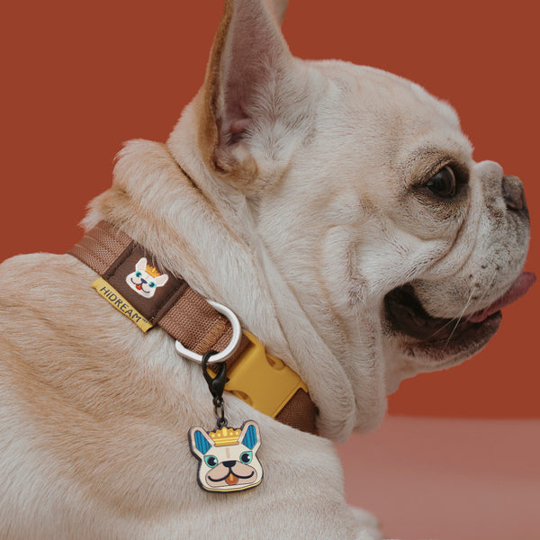 Exclusive Anti-loss Necklace Pendant System The Dog