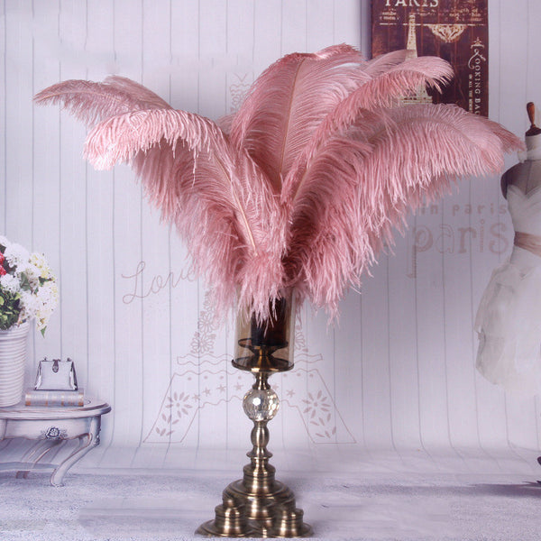 Photo Props Ostrich Fur Ornaments Wedding Decoration Big Feather