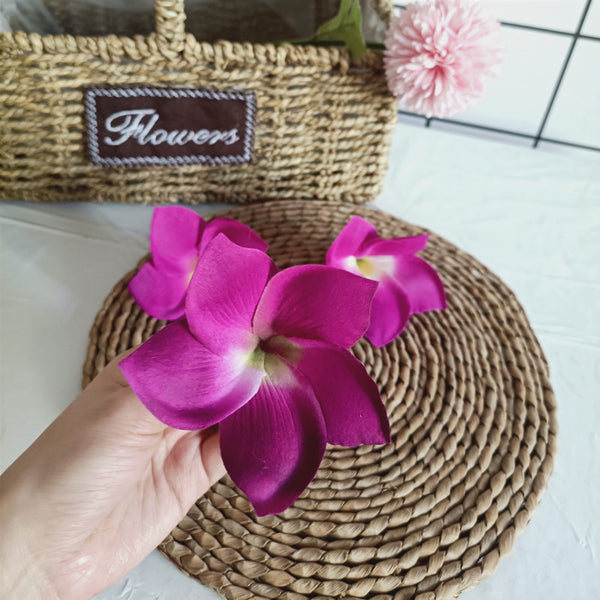 Beautiful Size Frangipani Photo Props