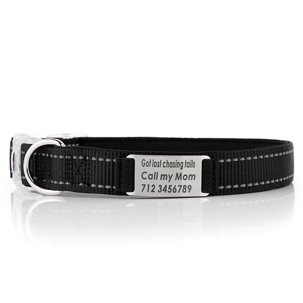 Customized Nylon Dog Collar