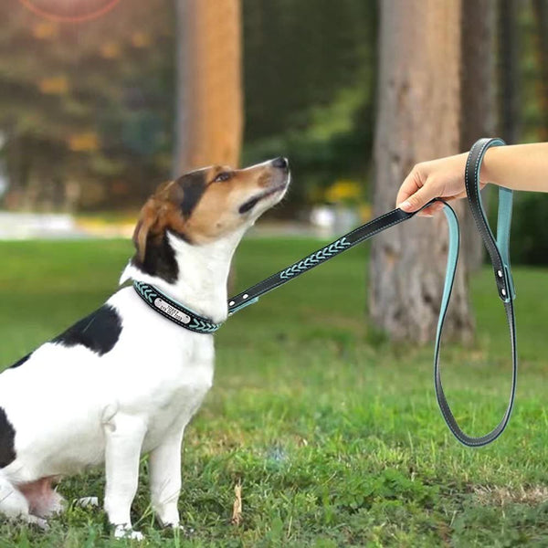 Engraving anti-lost dog tag