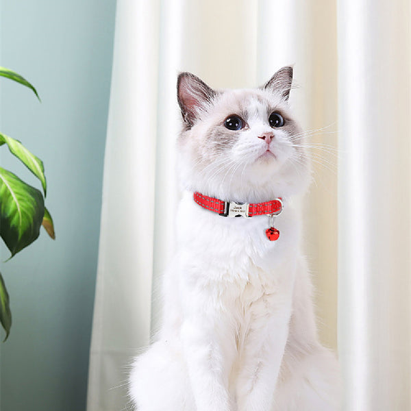 Engraved Anti Slip Reflective Cat Neck Collar