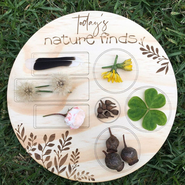 Wooden Field Treasure Hunting Board Toy