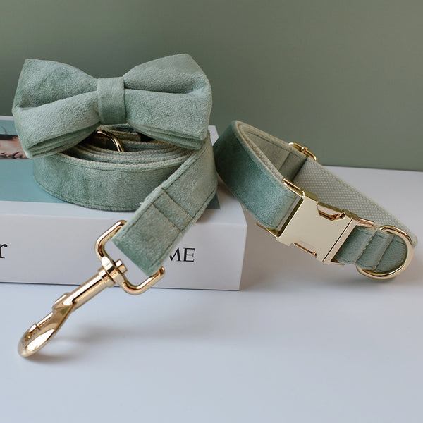 Mint Green Dog Collar Leash