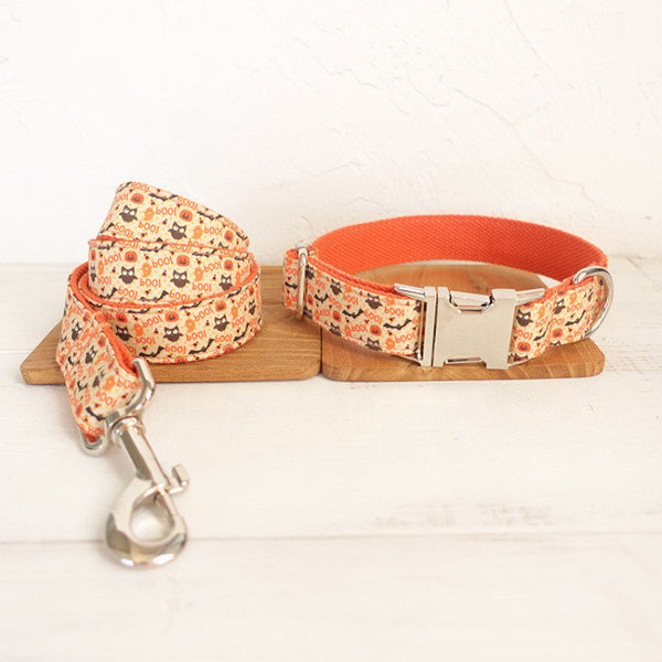 Creative And Simple Pet Traction Rope Collar Set