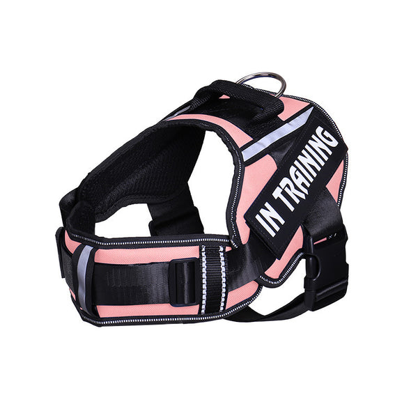 Reflective Dog Leash For Chest Harness Customization