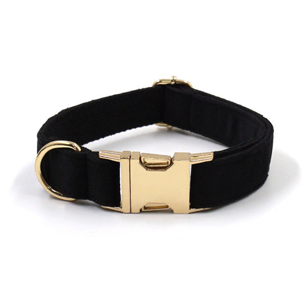 Pet Fashion Simple Anti-lost Dog Collar