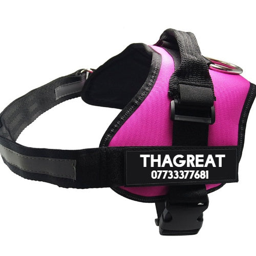 Strong Nylon Reflective Strip Pet Traction Chest Strap