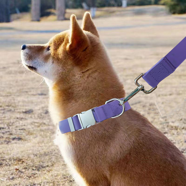 Waterproof Adjustable Silicone Pet Traction Rope